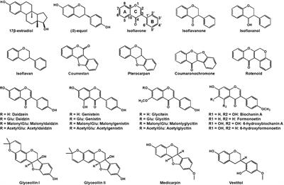 Isoflavonoid metabolism in leguminous plants: an update and perspectives